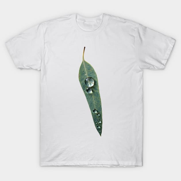 Leaf with Tropical Rain Drop T-Shirt by Inogitna Designs